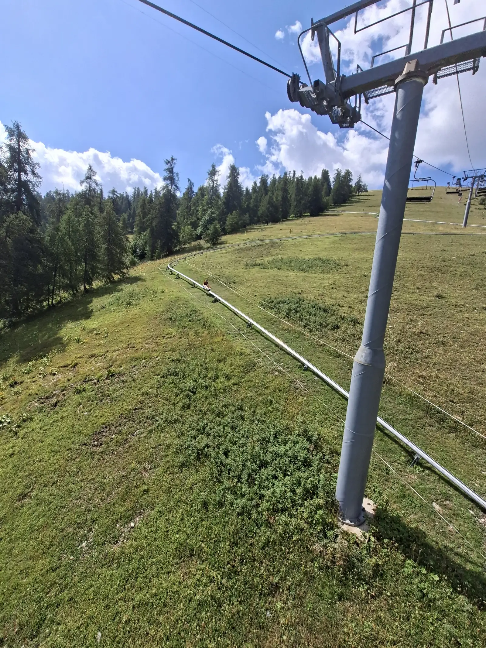 Luge d'été