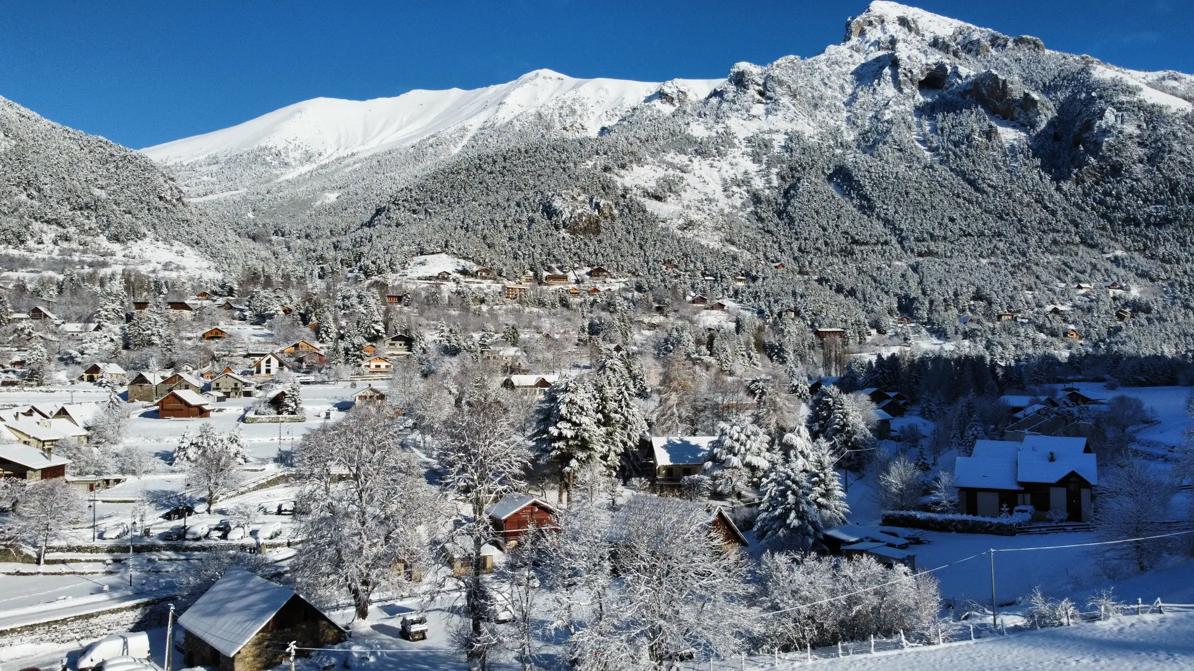 Les Marmottes sous la neige